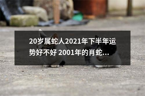 20岁属蛇人2025年下半年运势好不好2001年的肖蛇命主