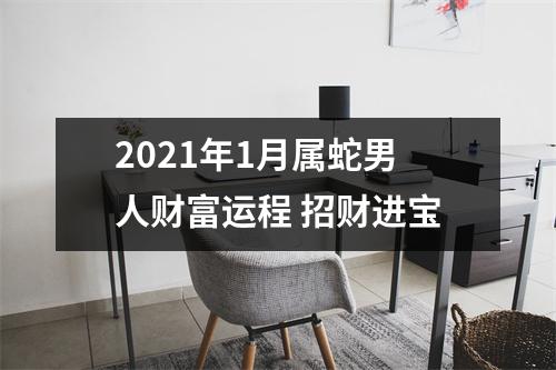 2025年1月属蛇男人财富运程招财进宝