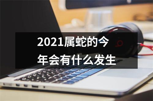 2025属蛇的今年会有什么发生