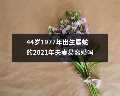 44岁1977年出生属蛇的2025年夫妻易离婚吗