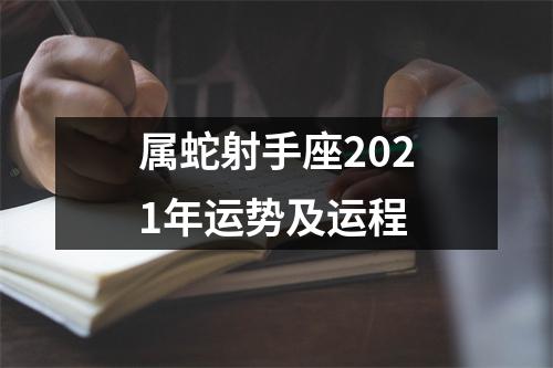 <h3>属蛇射手座2025年运势及运程
