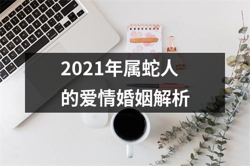 2025年属蛇人的爱情婚姻解析