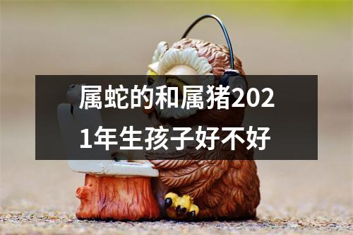 <h3>属蛇的和属猪2025年生孩子好不好