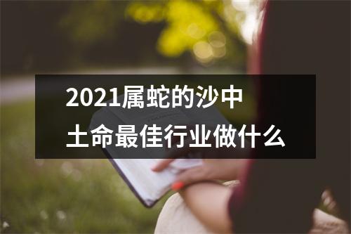 2025属蛇的沙中土命佳行业做什么