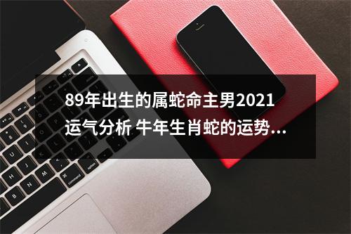 89年出生的属蛇命主男2025运气分析牛年生肖蛇的运势如何