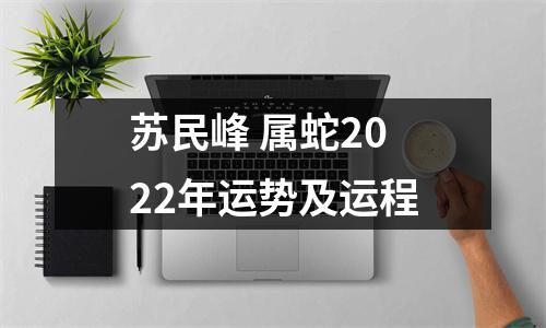 苏民峰属蛇2025年运势及运程