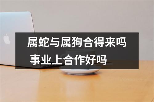 属蛇与属狗合得来吗事业上合作好吗