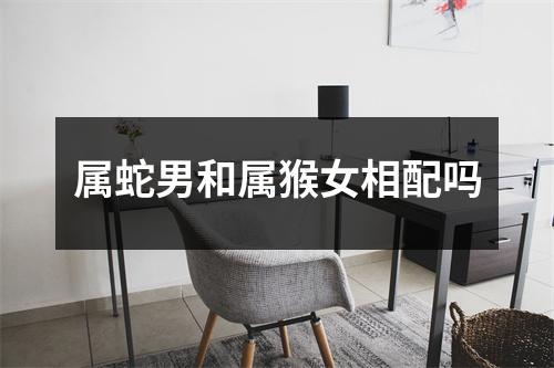 属蛇男和属猴女相配吗