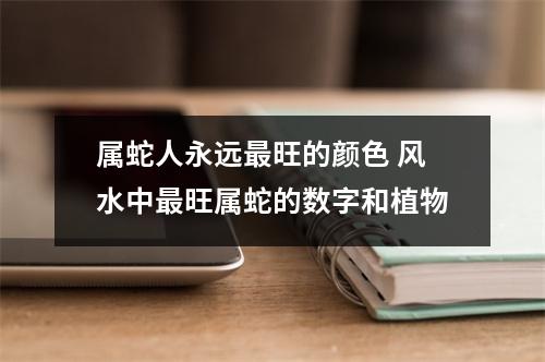 <h3>属蛇人永远旺的颜色风水中旺属蛇的数字和植物