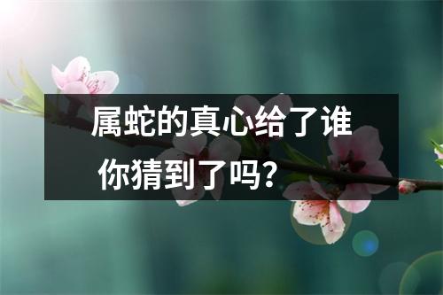 <h3>属蛇的真心给了谁你猜到了吗？