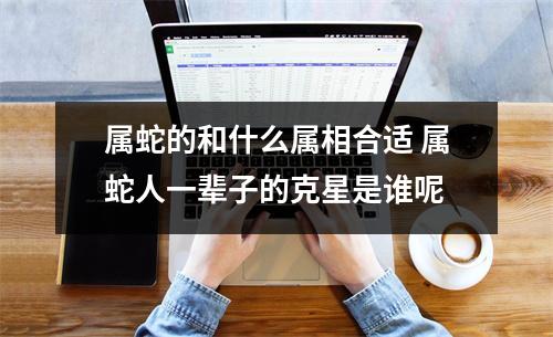 <h3>属蛇的和什么属相合适属蛇人一辈子的克星是谁呢