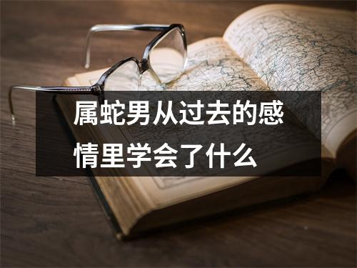 属蛇男从过去的感情里学会了什么