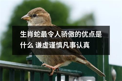 <h3>生肖蛇令人骄傲的优点是什么谦虚谨慎凡事认真