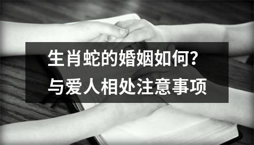 <h3>生肖蛇的婚姻如何？与爱人相处注意事项