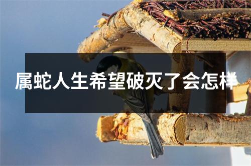 <h3>属蛇人生希望破灭了会怎样