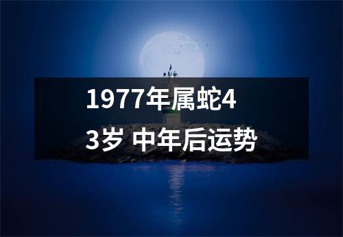 <h3>1977年属蛇43岁中年后运势