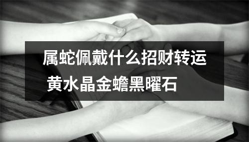 <h3>属蛇佩戴什么招财转运黄水晶金蟾黑曜石