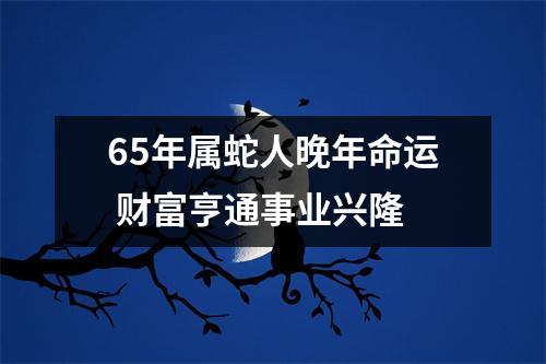 65年属蛇人晚年命运财富亨通事业兴隆