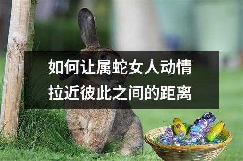 <h3>如何让属蛇女人动情拉近彼此之间的距离