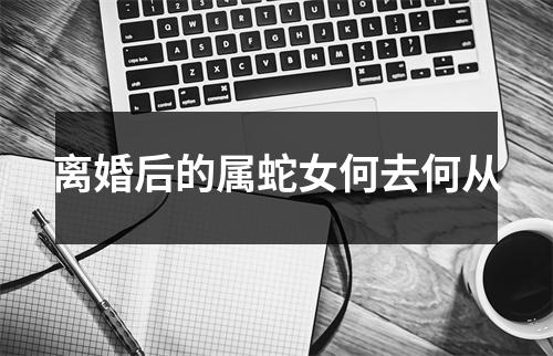<h3>离婚后的属蛇女何去何从