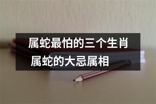 <h3>属蛇怕的三个生肖属蛇的大忌属相