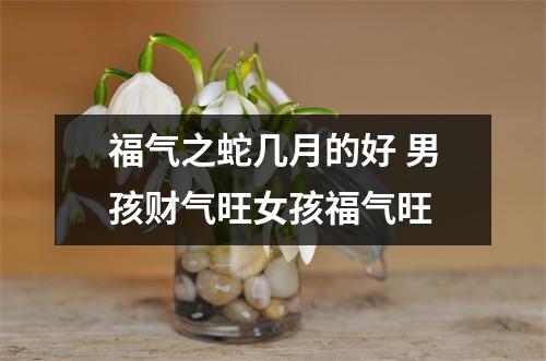 <h3>福气之蛇几月的好男孩财气旺女孩福气旺