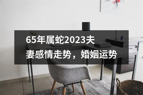 65年属蛇2025夫妻感情走势，婚姻运势