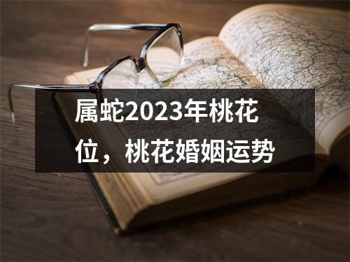 属蛇2023年桃花位，桃花婚姻运势