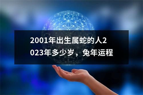 <h3>2001年出生属蛇的人2025年多少岁，兔年运程