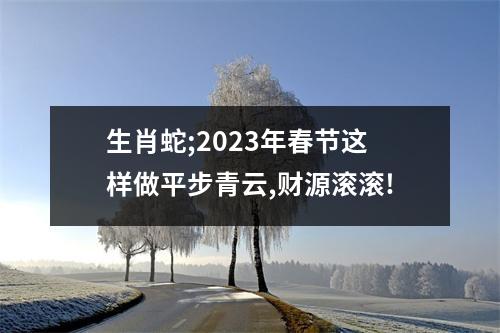 <h3>生肖蛇;2023年春节这样做平步青云,财源滚滚!