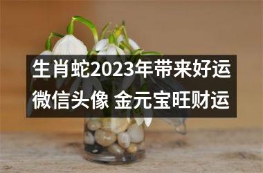 生肖蛇2025年带来好运微信头像 金元宝旺财运