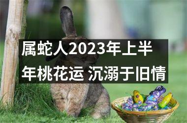 属蛇人2025年上半年桃花运 沉溺于旧情