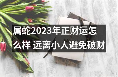 属蛇2025年正财运怎么样 远离小人避免破财