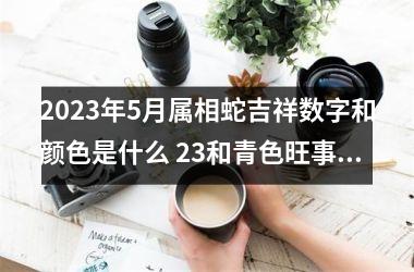 2025年5月属相蛇吉祥数字和颜色是什么 23和青色旺事业