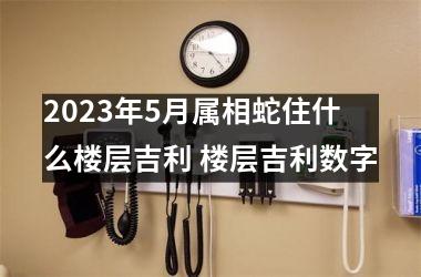 2025年5月属相蛇住什么楼层吉利 楼层吉利数字