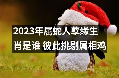 2025年属蛇人孽缘生肖是谁 彼此挑剔属相鸡