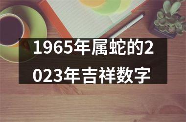 <h3>1965年属蛇的2025年吉祥数字