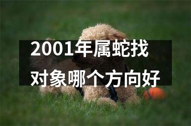 2001年属蛇找对象哪个方向好