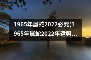 1965年属蛇2025必死(1965年属蛇2025年运势)