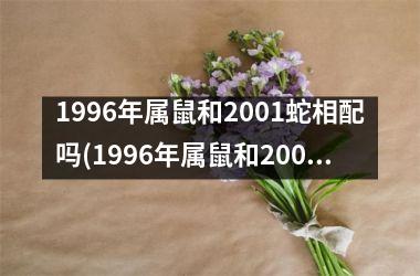 1996年属鼠和2001蛇相配吗(1996年属鼠和2002属马的2025年结婚黄道吉日)