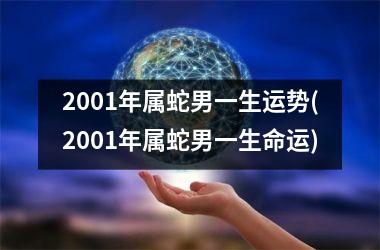 2001年属蛇男一生运势(2001年属蛇男一生命运)