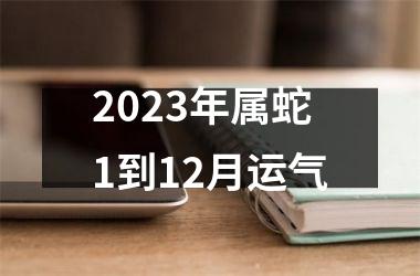 <h3>2025年属蛇1到12月运气