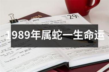 <h3>1989年属蛇一生命运