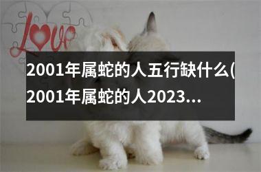 2001年属蛇的人五行缺什么(2001年属蛇的人2025年的运势)