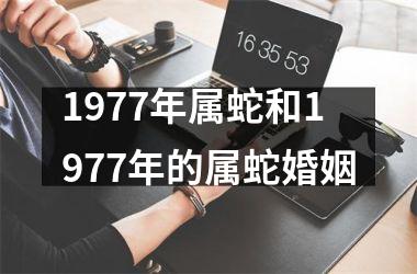 1977年属蛇和1977年的属蛇婚姻