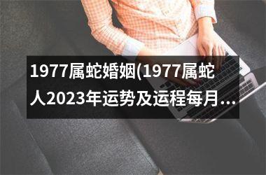 1977属蛇婚姻(1977属蛇人2025年运势及运程每月运程)