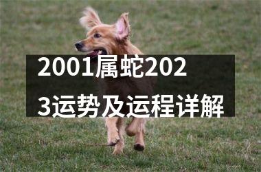 2001属蛇2025运势及运程详解