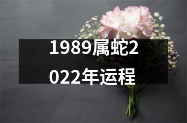 1989属蛇2025年运程