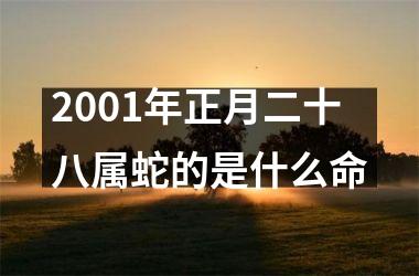 <h3>2001年正月二十八属蛇的是什么命