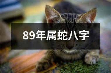 <h3>89年属蛇八字